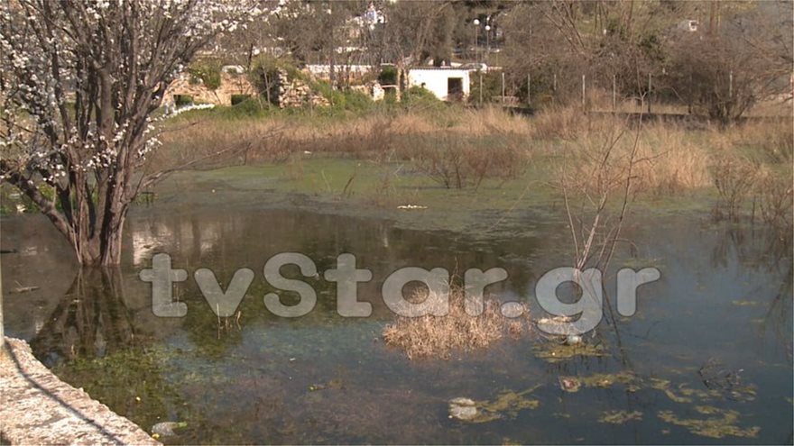 Παράξενο φαινόμενο στη Χαλκίδα: H γη... αναβλύζει νερό - Φωτογραφία 2