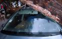 Νέα Σμύρνη: Επεσε δέντρο από τον αέρα και καταπλάκωσε 12 οχήματα