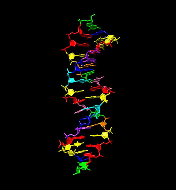 Δημιουργήθηκε για πρώτη φορά DNA με οκτώ «γράμματα» του γενετικού αλφαβήτου - Φωτογραφία 1