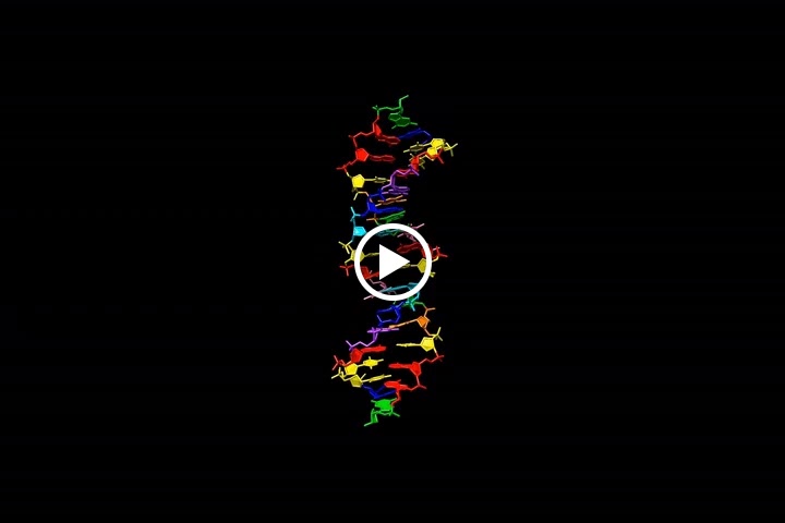 Δημιουργήθηκε για πρώτη φορά DNA με οκτώ «γράμματα» του γενετικού αλφαβήτου - Φωτογραφία 2