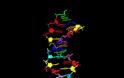 Δημιουργήθηκε για πρώτη φορά DNA με οκτώ «γράμματα» του γενετικού αλφαβήτου - Φωτογραφία 1