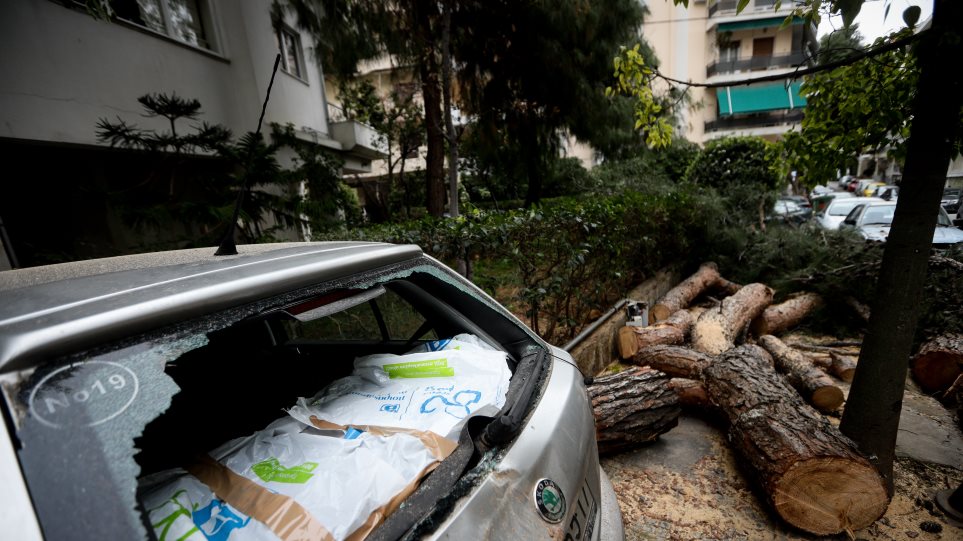 Δένδρο καταπλάκωσε 12 αυτοκίνητα στη Νέα Σμύρνη - Φωτογραφία 1