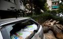 Δένδρο καταπλάκωσε 12 αυτοκίνητα στη Νέα Σμύρνη - Φωτογραφία 1