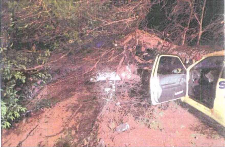 Φρικτό ατύχημα στην Αθηνών - Λαμίας: Αστυνομικός έμεινε ανάπηρος από πτώση δέντρου - Φωτογραφία 3
