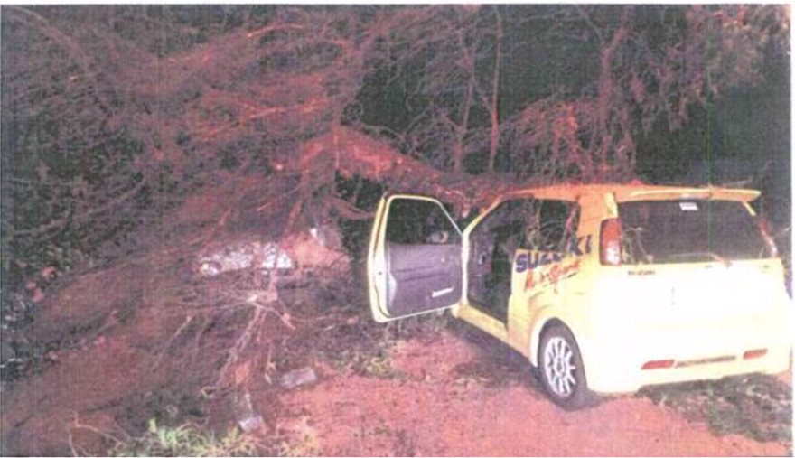 Φρικτό ατύχημα στην Αθηνών - Λαμίας: Αστυνομικός έμεινε ανάπηρος από πτώση δέντρου - Φωτογραφία 4