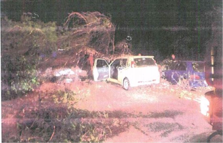 Φρικτό ατύχημα στην Αθηνών - Λαμίας: Αστυνομικός έμεινε ανάπηρος από πτώση δέντρου - Φωτογραφία 5