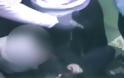 Βίντεο-σοκ: Καρέ-καρέ ληστεία σε βενζινάδικο στα Γλυκά Νερά