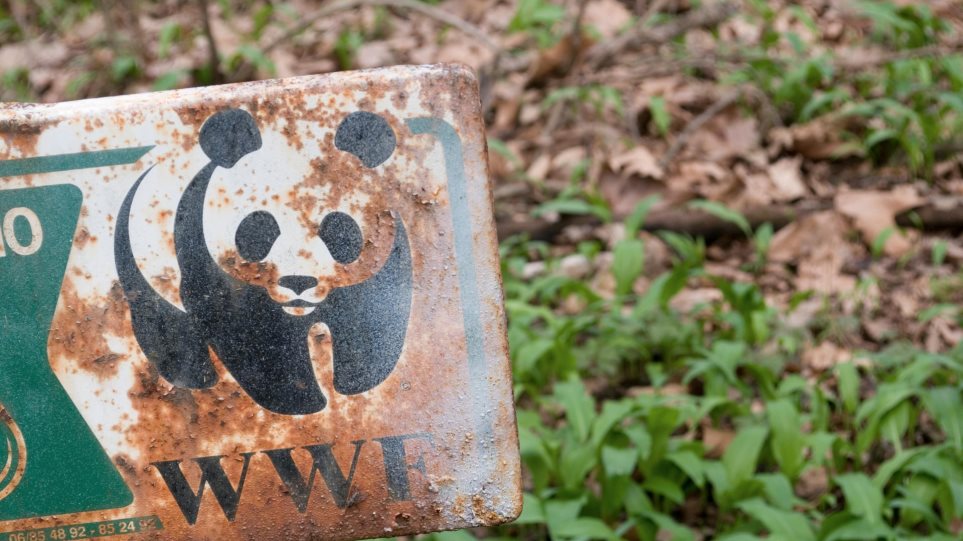 H WWF κατηγορείται ότι χρηματοδοτούσε παραστρατιωτικές ομάδες που σκότωναν και βίαζαν - Φωτογραφία 1