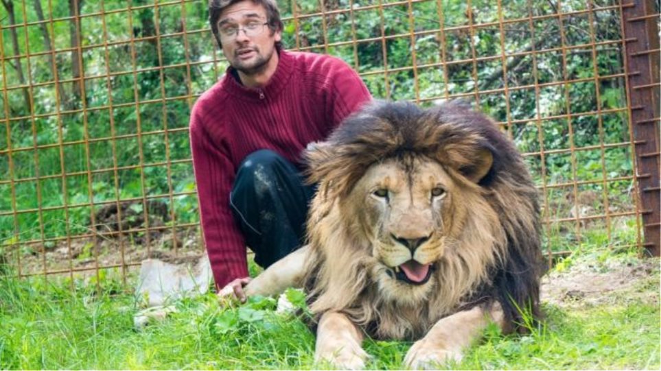 Τον κατασπάραξαν τα λιοντάρια που κρατούσε στην αυλή του - Φωτογραφία 1