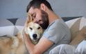 Σκύλος και άγχος αποχωρισμού: Να, τι φταίει που…