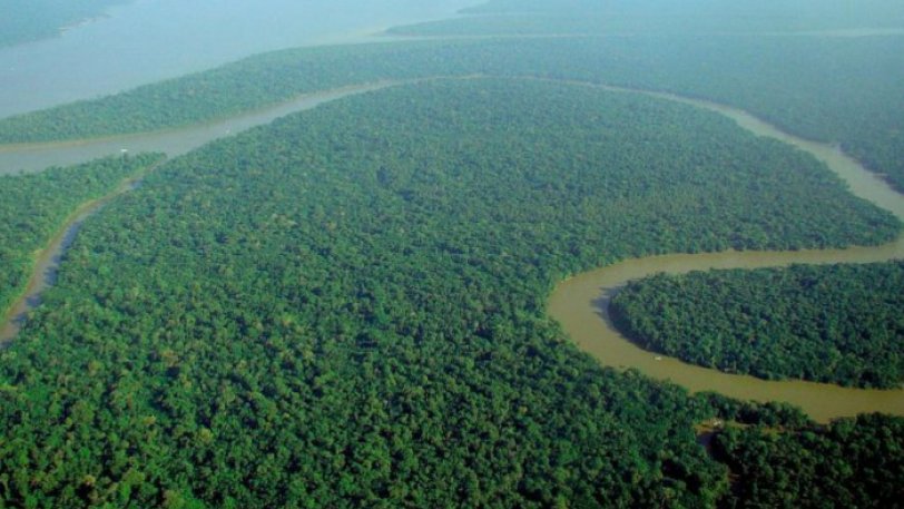 Kίνα και Ινδία δενδροφύτευσαν έκταση όσο το δάσος του Αμαζονίου μέσα σε δύο δεκαετίες - Φωτογραφία 1