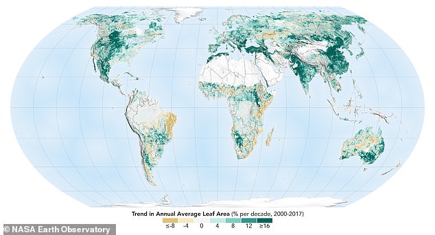 Kίνα και Ινδία δενδροφύτευσαν έκταση όσο το δάσος του Αμαζονίου μέσα σε δύο δεκαετίες - Φωτογραφία 2