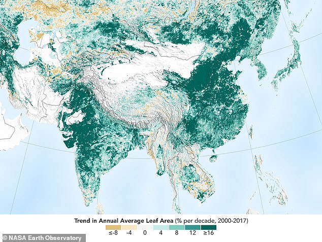 Kίνα και Ινδία δενδροφύτευσαν έκταση όσο το δάσος του Αμαζονίου μέσα σε δύο δεκαετίες - Φωτογραφία 4