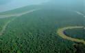 Kίνα και Ινδία δενδροφύτευσαν έκταση όσο το δάσος του Αμαζονίου μέσα σε δύο δεκαετίες