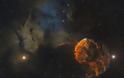 Sharpless 249 and the Jellyfish Nebula