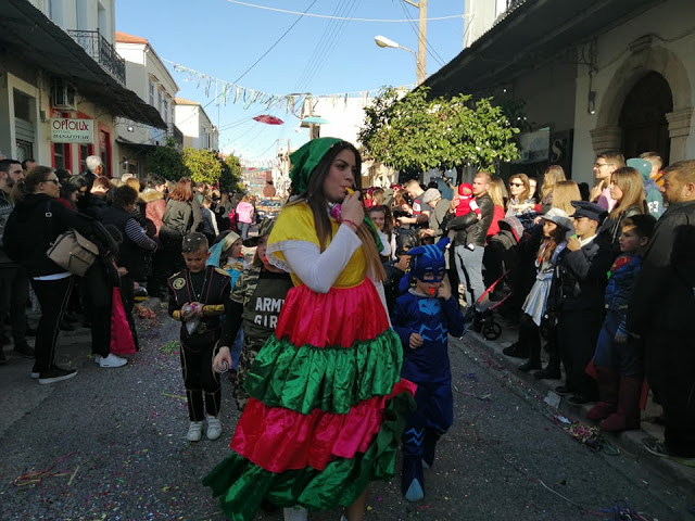 Αστακιώτικο Καρναβάλι 2019! Δείτε κι άλλες φωτογραφίες απο Τζένη Παπαδημητρίου! - Φωτογραφία 23
