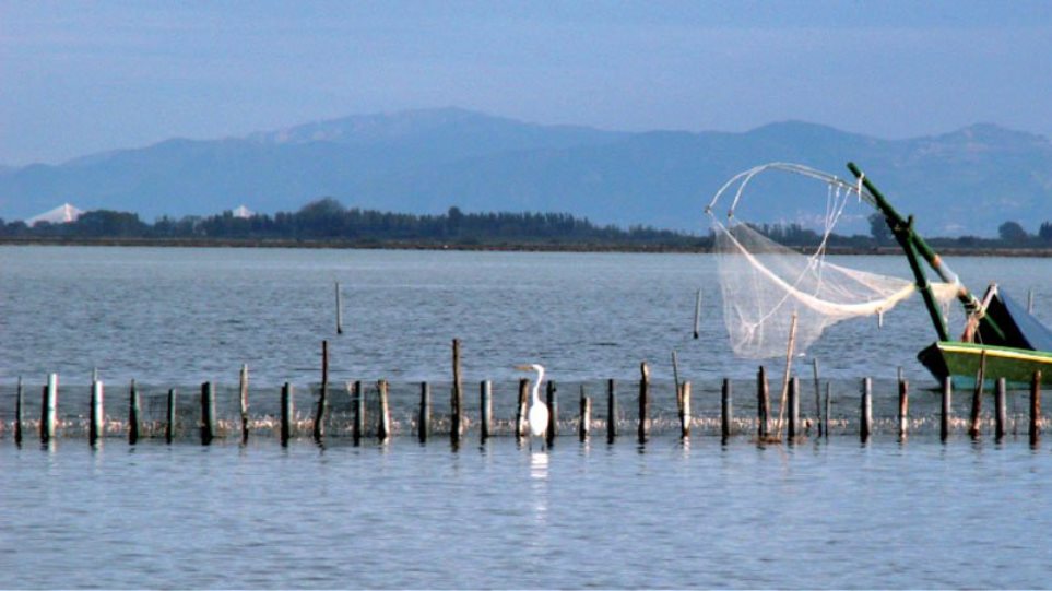 Καταδίωξη για κλέφτες... ψαριών σε λιμνοθάλασσα της Πρέβεζας - Φωτογραφία 1