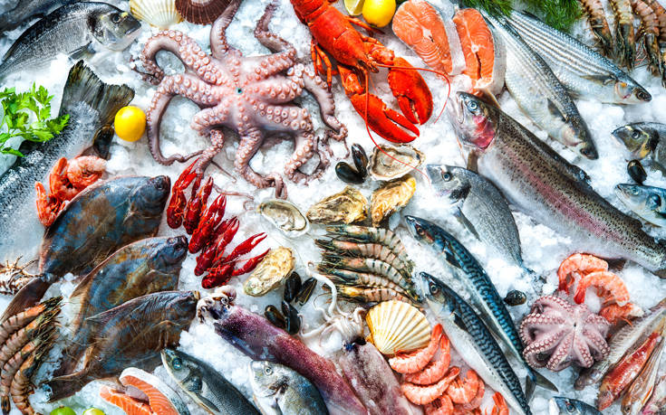 Δεκαπέντε λόγοι για να τρώμε θαλασσινά - Φωτογραφία 1