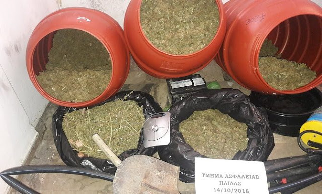 Μεγάλο κύκλωμα ναρκωτικών στην Ηλεία-πωλούσαν και στην Αιτωλοακαρναν - Φωτογραφία 1