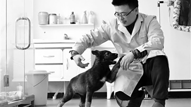 Κινέζοι επιστήμονες κλωνοποίησαν τον πρώτο αστυνομικό σκύλο στην ιστορία - Φωτογραφία 1