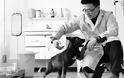 Κινέζοι επιστήμονες κλωνοποίησαν τον πρώτο αστυνομικό σκύλο στην ιστορία