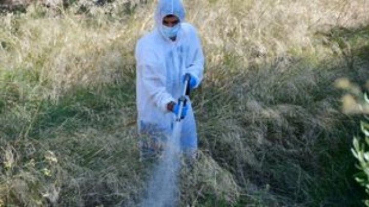 Περιφέρεια Αττικής: Ξεκίνησαν οι ψεκασμοί για την καταπολέμηση των κουνουπιών - Φωτογραφία 1