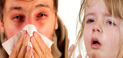 Αλλεργική ρινίτιδα, προκαλεί συνάχι, μπουκωμένη μύτη, πονοκέφαλο, φτέρνισμα, ξηρό βήχα. Φυσικοί τρόποι αντιμετώπισης - Φωτογραφία 4
