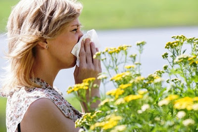 Αλλεργική ρινίτιδα, προκαλεί συνάχι, μπουκωμένη μύτη, πονοκέφαλο, φτέρνισμα, ξηρό βήχα. Φυσικοί τρόποι αντιμετώπισης - Φωτογραφία 7