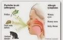 Αλλεργική ρινίτιδα, προκαλεί συνάχι, μπουκωμένη μύτη, πονοκέφαλο, φτέρνισμα, ξηρό βήχα. Φυσικοί τρόποι αντιμετώπισης - Φωτογραφία 3