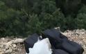 Θεσπρωτία: Χειροπέδες σε 27χρονο που επιτηρούσε καβάντζα με 57 κιλά κάνναβη - Φωτογραφία 4