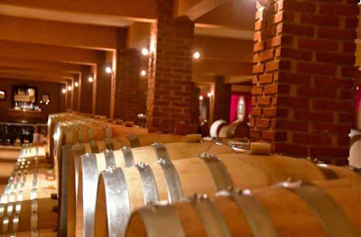 Εκλεψαν 300 φιάλες σπάνιου κρασιού από οινοποιείο στο Κιλκίς - Φωτογραφία 1