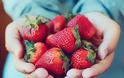 Τι προσφέρουν οι φράουλες στην υγεία σας – Σπουδαία οφέλη αλλά και κάποιοι… κίνδυνοι