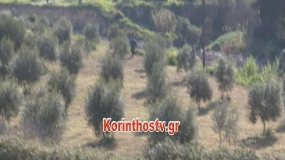 Κόρινθος: Ιδιοκτήτης σπιτιού πυροβόλησε και σκότωσε επίδοξο διαρρήκτη - Φωτογραφία 2