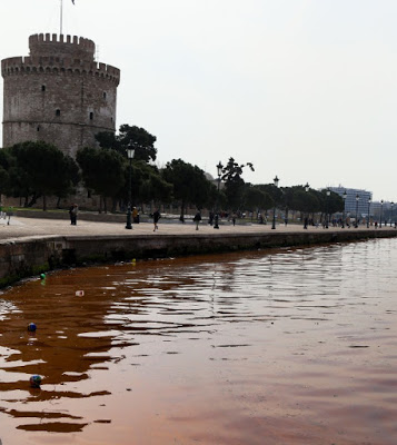 Το φαινόμενο της ερυθράς παλίρροιας «χτύπησε» και πάλι τη Θεσσαλονίκη (pics) - Φωτογραφία 1