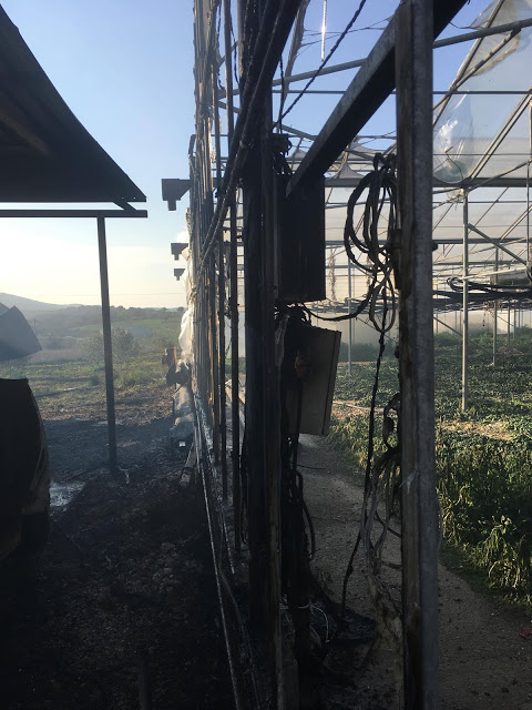 Καταστροφική πυρκαγιά σήμερα το μεσημέρι στο Κτήμα Παλούκη στο Δρυμό Βόνιτσας (ΦΩΤΟ) - Φωτογραφία 5