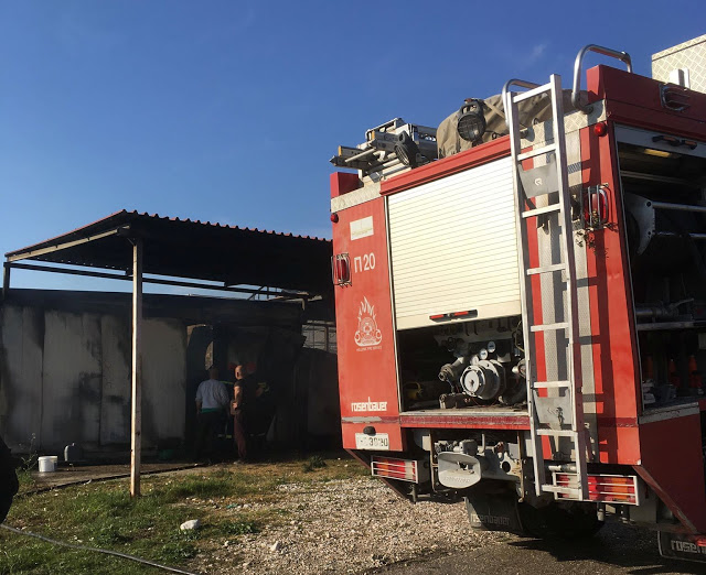 Καταστροφική πυρκαγιά σήμερα το μεσημέρι στο Κτήμα Παλούκη στο Δρυμό Βόνιτσας (ΦΩΤΟ) - Φωτογραφία 7