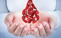 7ο Δημοτικό Σχολείο Καλαμάτας -  Δεύτερη εθελοντική αιμοδοσία και δωρεά μυελού των οστών