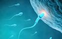 Άνδρας: Η θεραπεία που αποκαθιστά τη γονιμότητά του