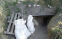 Κυνήγι θησαυρού στις Σέρρες: Έσκαψαν σήραγγα 30 μέτρων κάτω από μοναστήρι (Photos)