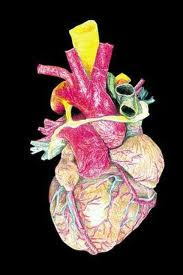 CPK (κινάση της κρεατίνης), σε ποια νοσήματα αυξάνεται και σε ποια μειώνεται; Τι δείχνει σε καρδιακό έμφραγμα; - Φωτογραφία 4