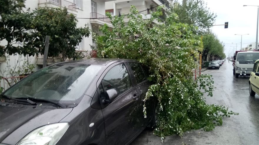 Η κακοκαιρία «σφυροκοπά» την Κρήτη: Κλειστοί δρόμοι λόγω κατολισθήσεων, δεμένα τα πλοία στα λιμάνια - Φωτογραφία 6