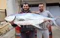 Πρέβεζα: Αυτή είναι ψαριά!! 35 κιλά λέτσα στα δίχτυα ψαρά! - Φωτογραφία 1