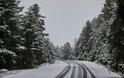 Ριπές ανέμου 150 χιλιόμετρα την ώρα στον Παρνασσό - Χιόνια σε Πάρνηθα και Κιθαιρώνα