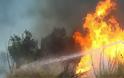 Σκιάθος: Φωτιά σε ορεινή περιοχή κοντά στον Τρούλο