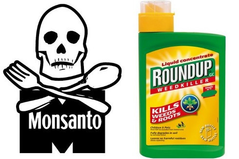 Το Roundup, η Bayer, η Monsanto και η εμφάνιση καρκίνου - Φωτογραφία 1