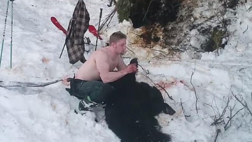 Λαθροθήρες πιάστηκαν στα πράσα να εκτελούν θηλυκή αρκούδα και τα δύο μικρά τους - Φωτογραφία 1