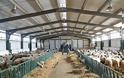 Αθανάσιος Φωλίνας:  “Η απώλεια ποσοστού της Εξισωτικής Αποζημίωσης στους κτηνοτρόφους είναι εθνική επιλογή”
