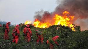 Κίνα: Δεκάδες πυροσβέστες έχασαν τη ζωή τους σε δασική πυρκαγιά - Φωτογραφία 1
