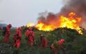 Κίνα: Δεκάδες πυροσβέστες έχασαν τη ζωή τους σε δασική πυρκαγιά
