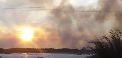 ΗΛΕΙΑ - Η φωτιά έτρωγε όλη νύχτα το δάσος της Στροφυλιάς-Στάχτη περισσότερα από 2.000 στρέμματα - Φωτογραφία 1